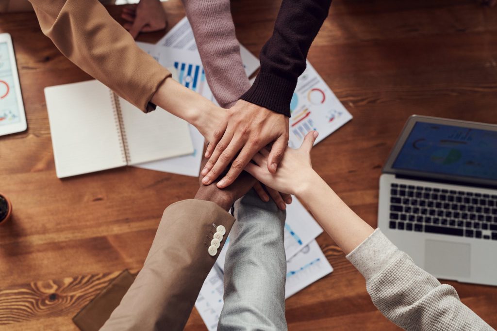 Cohésion d'équipe lors d'une activité de team building