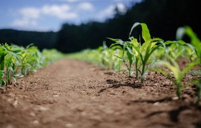 conditions favorables agriculture